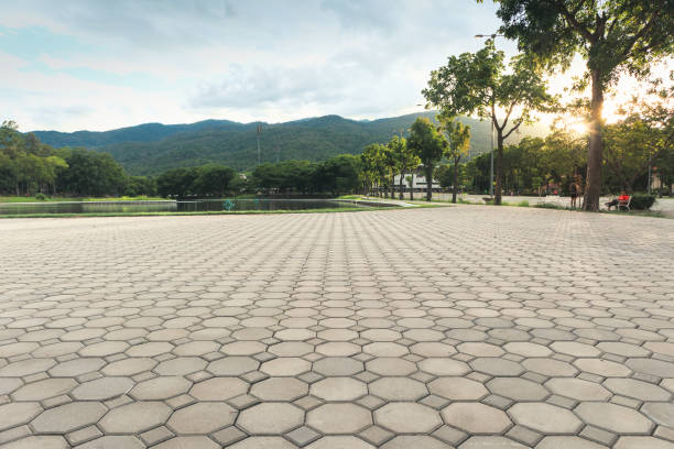 Best Residential Driveway Paver Services  in Fincastle, TN